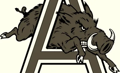 Arkansas Razorbacks