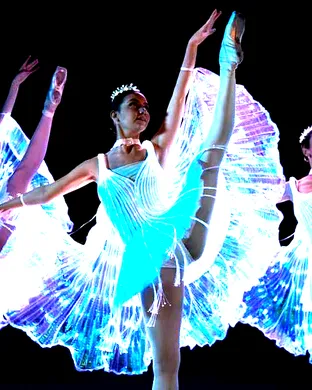 Ballet of Lights: Sleeping Beauty in a Sparkling Show theatre performance