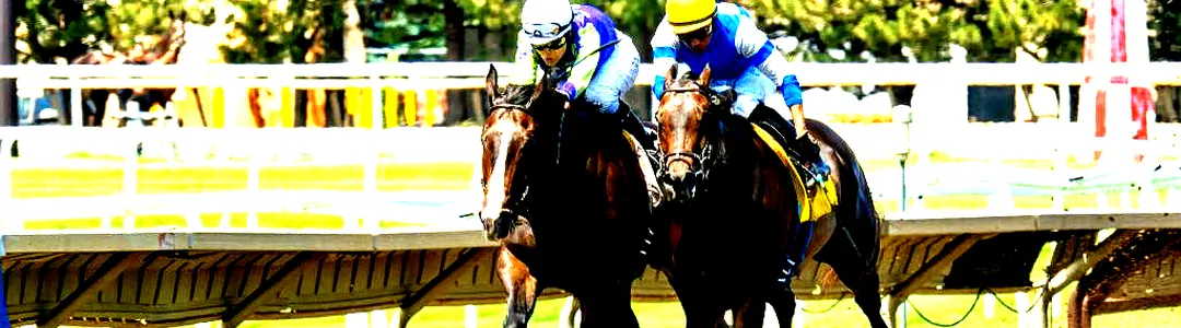 Belmont Stakes