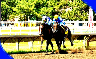 Belmont Stakes