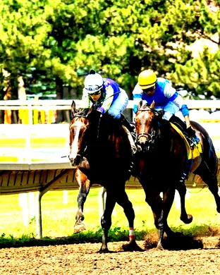 2027 Belmont Stakes