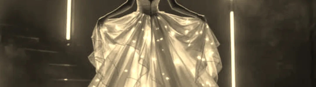 Cinderella in a Sparkling Show