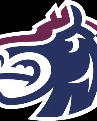 Fairleigh Dickinson Knights Hackensack