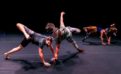 Gallim Dance