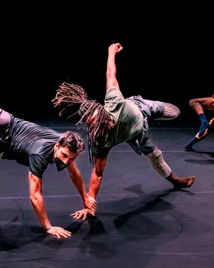 Gallim Dance