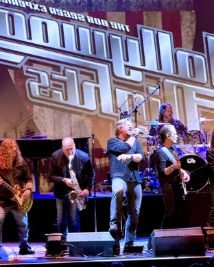 Hollywood Nights - Bob Seger Tribute Patchogue