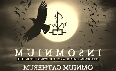 Insomnium