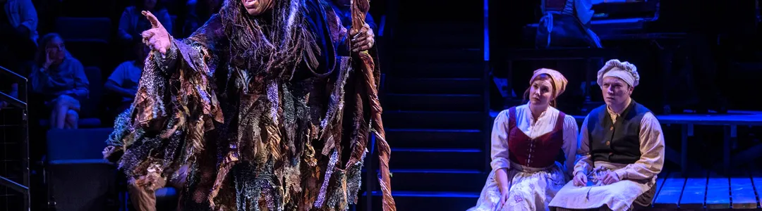 Into The Woods