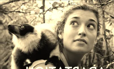National Geographic Live: Wild Cats Revealed