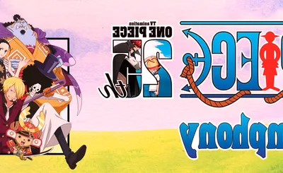 One Piece Music Symphony