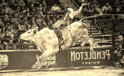PBR - Professional Bull Riders