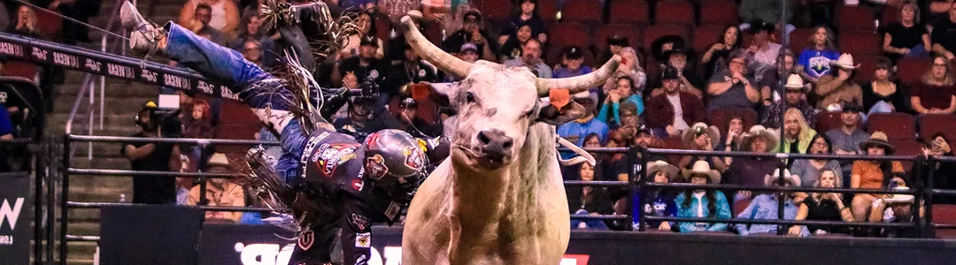 PBR: Teams Series