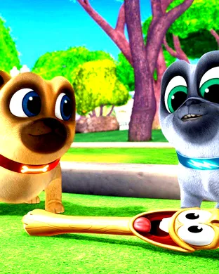 Puppy Pals East Rutherford
