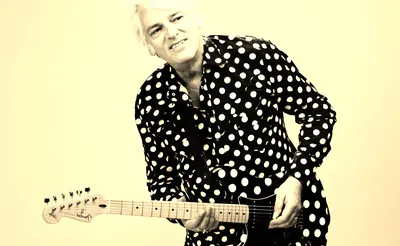 Robyn Hitchcock