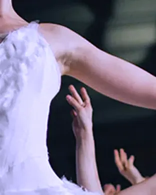 Sleeping Beauty in a Sparkling Show