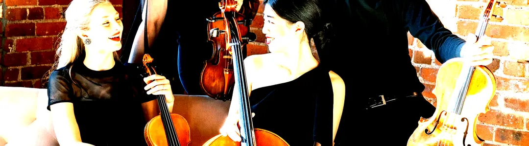 Terra String Quartet