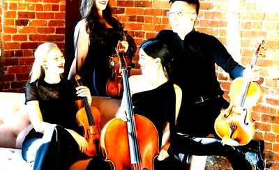 Terra String Quartet