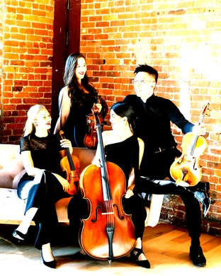 Terra String Quartet
