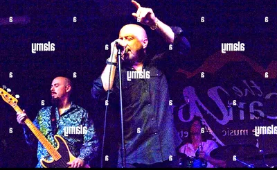 The Fabulous Thunderbirds