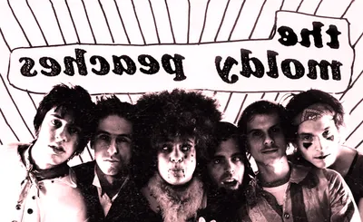 The Moldy Peaches