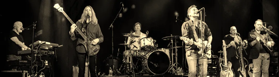 Tramps Like Us - Bruce Springsteen Tribute