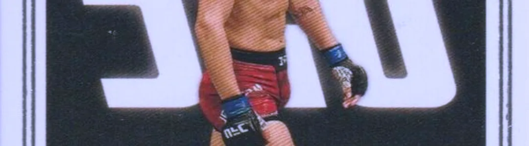 UFC 328
