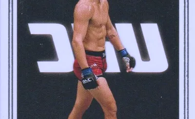 UFC 328