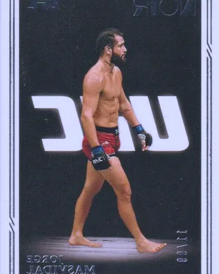 UFC 328: Chimaev vs. Strickland sports event