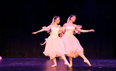 Westchester Ballet