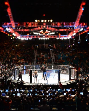 UFC 334: Gane vs. Hokit sports event