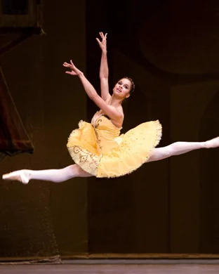 The Nutcracker - Symphony Of Lights
