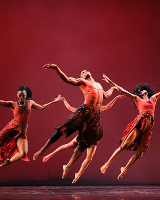 Nrityagram Dance Ensemble