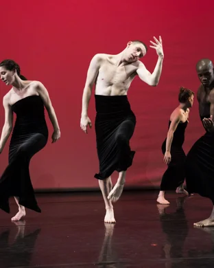 Burn the Floor - Dance